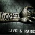 korn 15287003