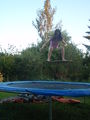 Trampolinborden 65664806