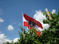 ADAC Ralllye Deutschland 2008 44751125