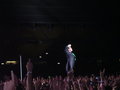 Robbieeeeeeeeeeeeeee!!!! 10678069