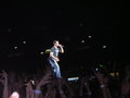 Robbieeeeeeeeeeeeeee!!!! 10678127