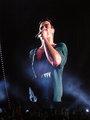 Robbieeeeeeeeeeeeeee!!!! 10678186