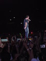Robbieeeeeeeeeeeeeee!!!! 10678201