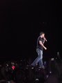 Robbieeeeeeeeeeeeeee!!!! 10678226