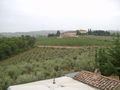 Toscana 2008 45603171