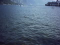 Ausflug Traunsee 57596146