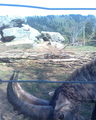 Tierpark Altenfelden 57642176