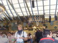 Oktoberfest 2008 45808524