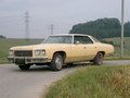 my V8 Impala 1975 25888495