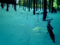 Biken im Schnee ! 16064509