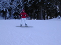 ***Snowboarden*** 31733523