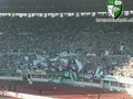 Rapid Wien allleez 15394236