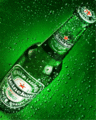 Bier 16802924