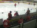 Eishockey 2008 49685981