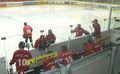 Eishockey 2008 49685984