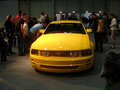 Luxsus Motor Show 07 Wien 15456828