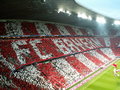 Allianz Arena 28745977