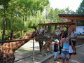 tierpark 21619950