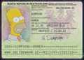 Simpsons 30516608