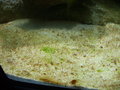 Mein Meerwasser Aquarium 16315509