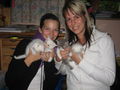 Unsere 2 kleinen Katzenbabies!!! 62312373