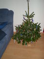 Dezember 2008 50600812