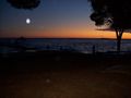 UrLaUb in PoReC =) 64128355