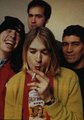 nirvana 21396744