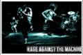 RageAgainstTheMachine - Fotoalbum