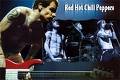 Red Hot Chili Peppers 16114756