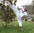 Karate 75313980