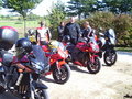 Motorradlfoan 28294143