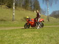 Motorradlfoan 36647569