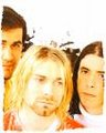 nirvana.co 17686217