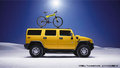 HUMMER 17634394