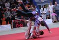 judo 16951819