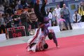 judo 16951822