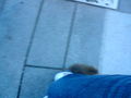 Hesi & Elli  ? 61604838