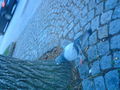 Hesi & Elli  ? 61605112