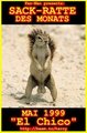 FuNNy aNImaLs 15914243