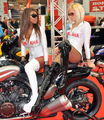 Motorradmesse 09 54031913