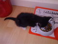 ICH VERMISSE SIE =( 59927975