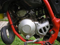 Mein Moped Aprilia RX - 50 18829117