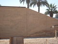 Urlaub Ägypten 2008 45795971