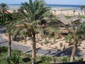 Ägypten Sharm el Sheikh 08 41062044