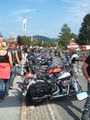 Harleytreffen 44907981