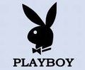 Playboyhasen 48959431