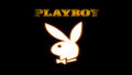 Playboyhasen 48959497