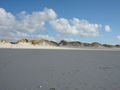 Amrum 36532185