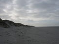 Amrum 36532255